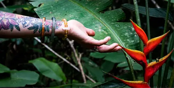 A hand reaching out towards a flower.